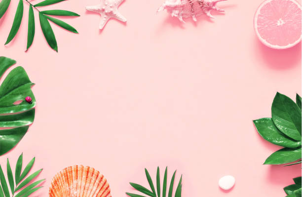istock Tropical background. Palm trees branches with starfish and seashell on pink background. Travel. 1130557756