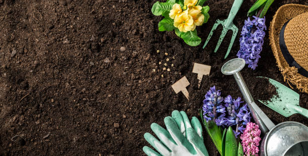 istock Spring garden works. Gardening tools and flowers on soil background. 1130557914