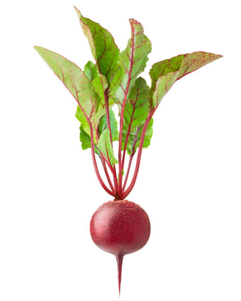 beetroot isolated on white background, clipping path, full depth of field - beet common beet isolated root vegetable imagens e fotografias de stock