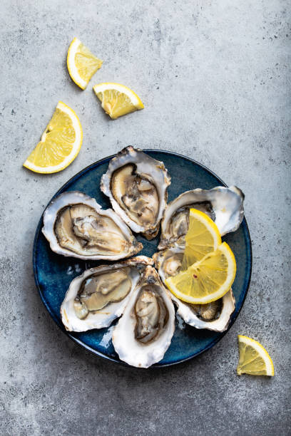 Fresh opened oysters Set of half dozen fresh opened oysters in shell with lemon wedges served on rustic blue plate on gray stone background, close up, top view oyster photos stock pictures, royalty-free photos & images