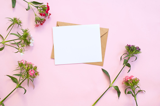 Top view of envelope and blank greeting card with flowers on pink background.