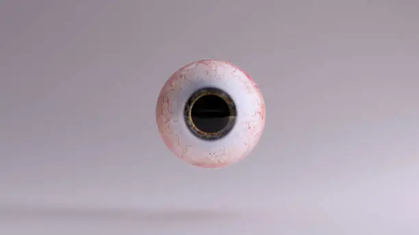 Human Eyeball with 85 Percent Dilated Pupil 3d illustration 3d render