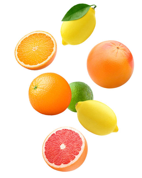 falling citrus, mix, lemon, orange, lime, grapefruit isolated on white background, clipping path, full depth of field - grapefruit fruit freshness pink imagens e fotografias de stock
