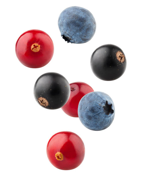 istock Falling berries, cranberry, blueberry, black currant, clipping path, isolated on white background, full depth of field 1130564139
