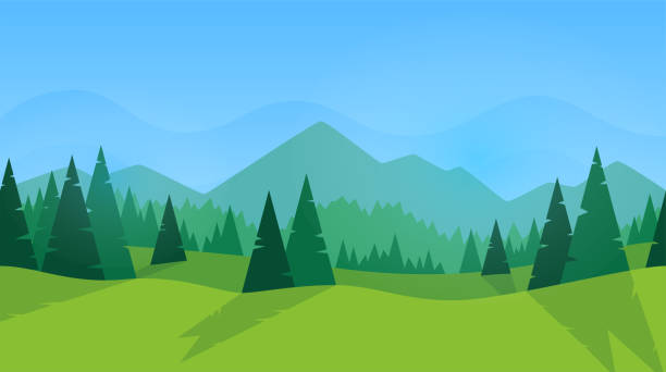 숲 파노라마입니다. 녹색 그림자입니다. 전나무 나무와 소나무 숲입니다. 구름과 푸른 하늘입니다. 단순한 현대적인 디자인입니다. 배너 또는 포스터에 대 한 템플릿입니다. 텍스트에 대 한 장� - forest stock illustrations
