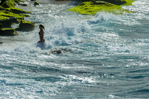 Island of Maui in Hawaii on January 04, 2013:  Surfing at Hookipa Beach on Maui
