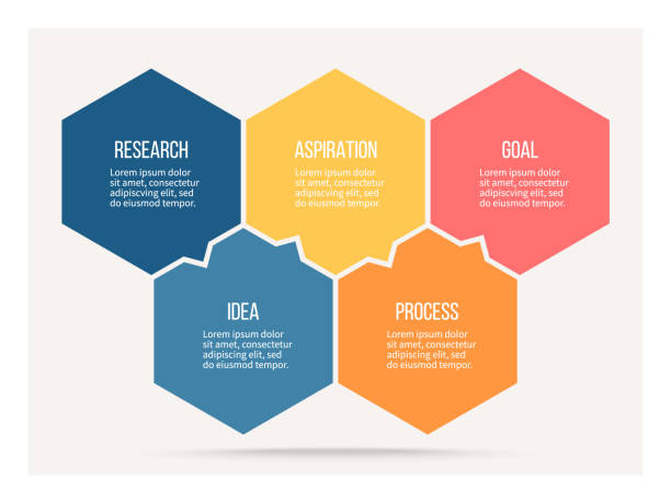 infografiki biznesowe. proces z 5 krokami, opcjami, sześciokątami. szablon wektora. - 5 stock illustrations