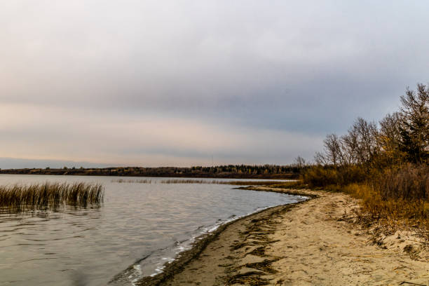песчаная береговая линия озера джекфиш, парк провинции батлфорд, саскачеван, канада - 7646 стоковые фото и изображения