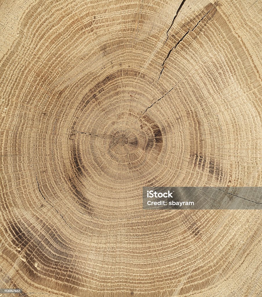 Texture en bois de chêne - Photo de Veine du bois libre de droits