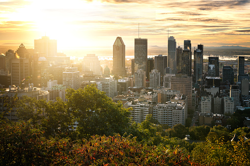 Montreal skyline early in the morning from Mont Royal park, Canada