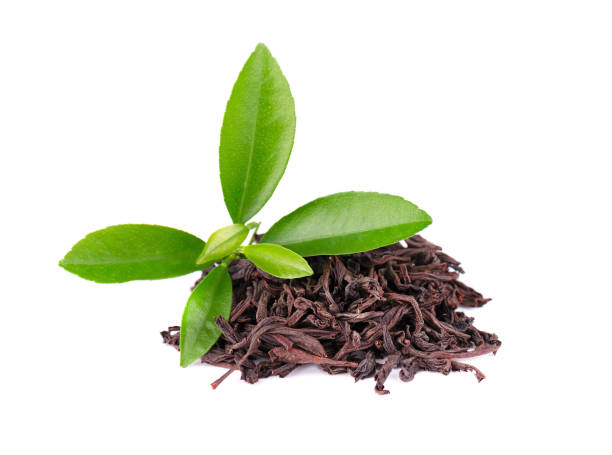 istock Black Ceylon tea with soursop, isolated on white background. 1130580056