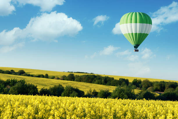 istock Green balloon under yellow rape field 1130581279