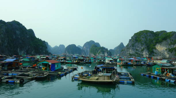 istock Vietnam Ha Long Bay 1130590908