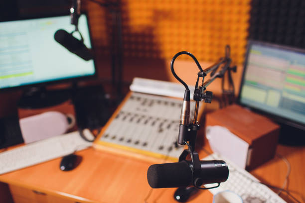 istock Condenser microphone in vocal recording room studio. 1130592713