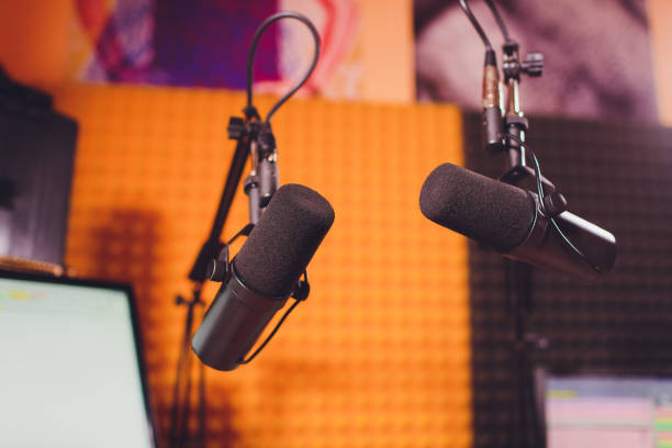 istock Condenser microphone in vocal recording room studio. 1130592723