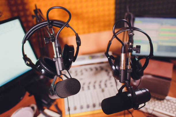 istock Condenser microphone in vocal recording room studio. 1130592735