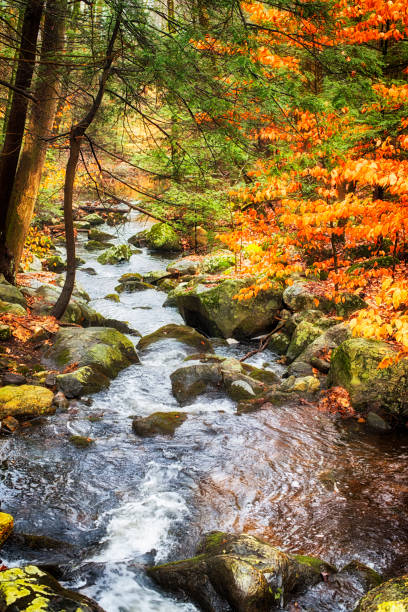 istock Burr Pond State Park Autumn landscape and stream 1130596789