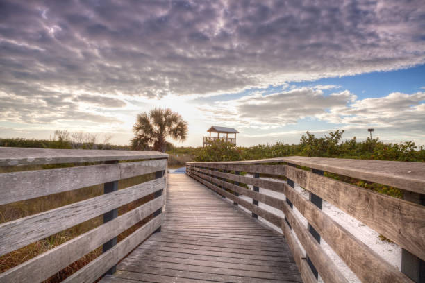 istock Boardwalk leading toward the bird viewing tower and an osprey nest 1130597675