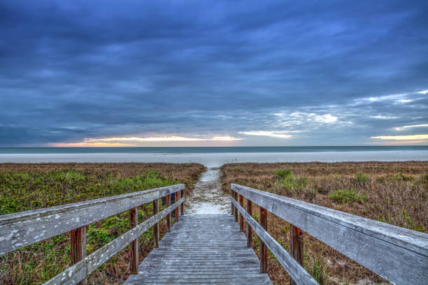 istock White sand path leading through the beach grass at Tigertail Beach 1130597825