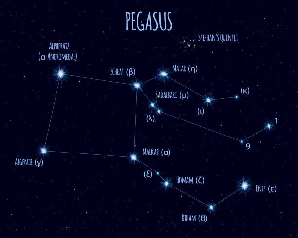 illustrations, cliparts, dessins animés et icônes de constellation de pégase, vector illustration avec les noms des étoiles base - asterism