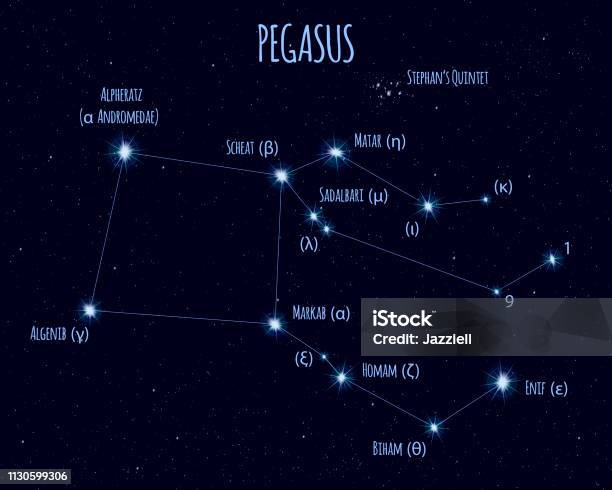 Pegasus Constellation Vector Illustration With The Names Of Basic Stars Stock Illustration - Download Image Now