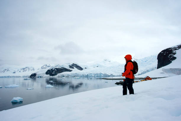 woman standing scientific station almirante brown signs paradise bay - pack ice imagens e fotografias de stock