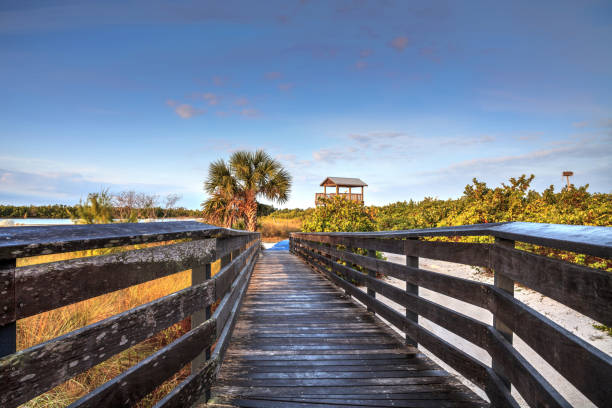 Bird observation tower at the end of a boardwalk at sunrise Bird observation tower at the end of a boardwalk at sunrise on Tigertail Beach, Marco Island, Florida marco island stock pictures, royalty-free photos & images