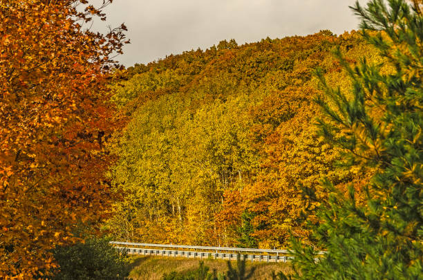 Michigan Highway M-22 in Autumn stock photo