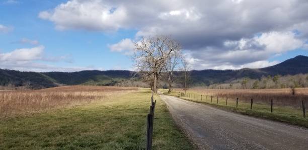 istock Country Road Fence (12) 1130602662