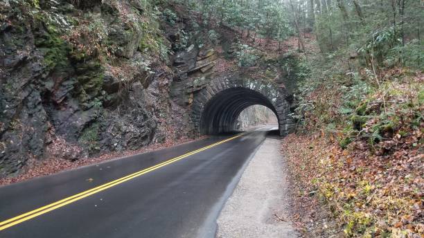 cades cove road tunnel - cades cove photos et images de collection