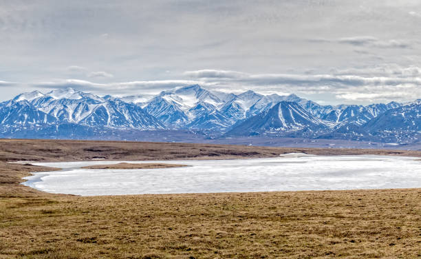 istock Lake Galbraith and the Alaska range 1130605351
