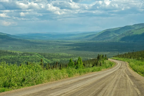 istock Dalton Highway and Forest, Alaska 1130605364