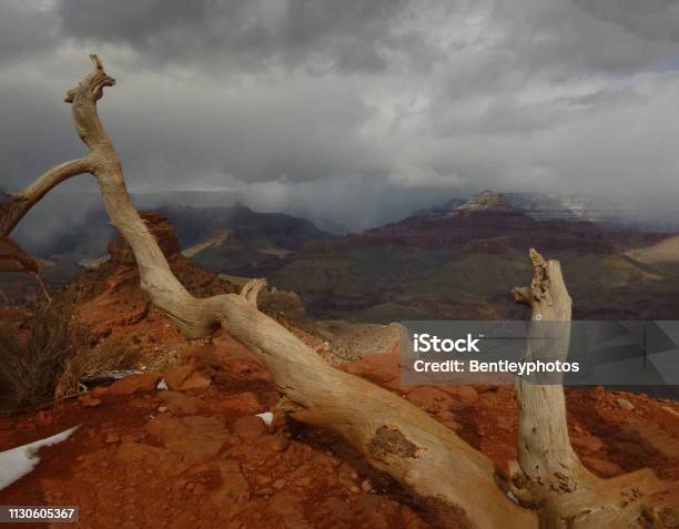Long Branch View Of A Stormy Grand Canyon Stock Photo - Download Image Now - Arizona, Beauty In Nature, Climate