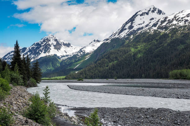 istock Resurrection River - Seward, Alaska 1130605407