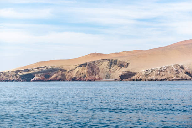 istock El Chaco Pier in Paracas, Peru 1130605781