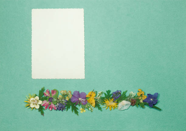 istock Page from old photo album, scrapbooking element. 1130608241