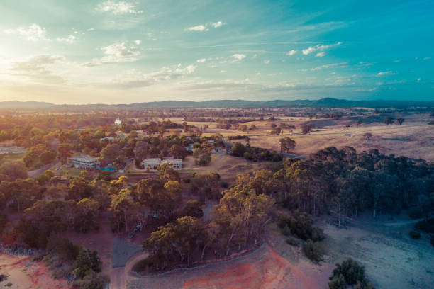 istock Beautiful rolling hills and trees at sunset - aerial view 1130612586