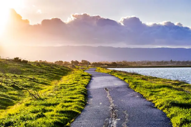 Photo of Paved trail illuminated by the evening sunlight on the shoreline of south San Francisco bay area, Mountain View, California