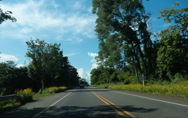 istock Empty asphalt road runs through suburban area, with bright blue sky. 1130622374