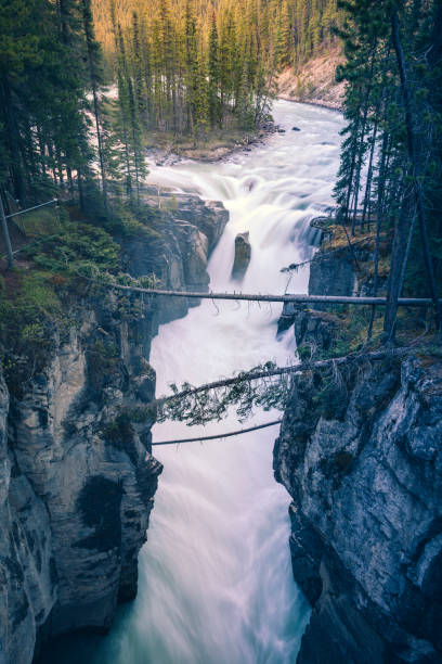 istock Sunwapta Falls in Jasper National Park, Alberta, Canada 1130622449