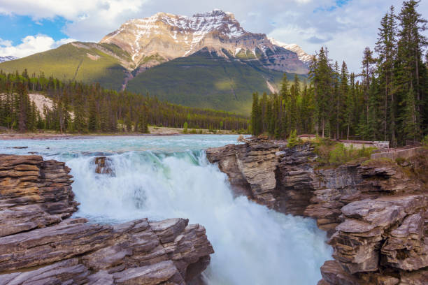 istock Athabasca Falls in Jasper National Park 1130622457