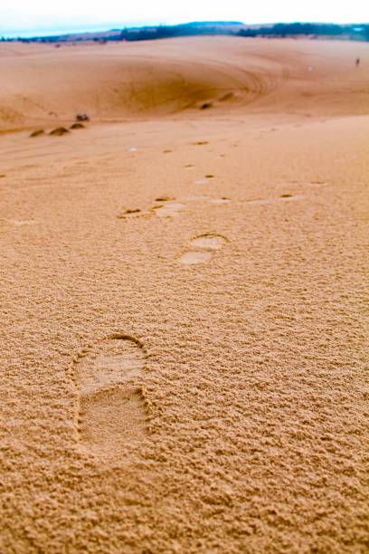 istock Foot print on deserts 1130622471