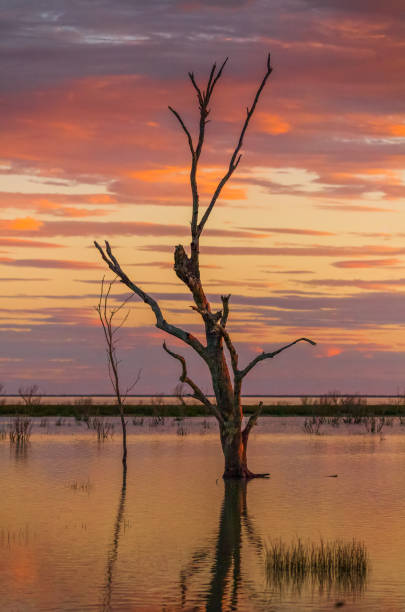 istock Outback Australia sunset over desert oasis 1130624602
