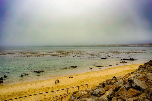 Monterey, California, August 19, 2017 The beauty of the Pacific Ocean was on full display on this overcast Summer day. The colors of the sand, fauna, and ocean waters made for a beauty scene. On this day a lone person walks down the beach taking in all the sights around them.