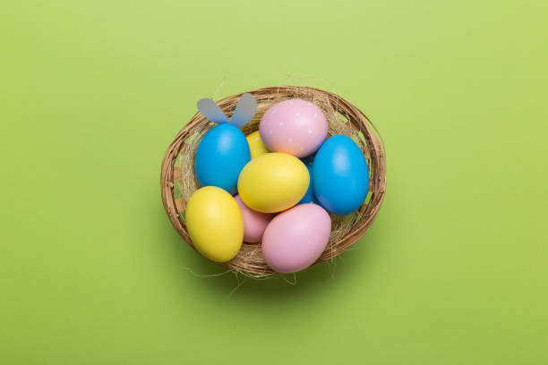 istock Colorfull easter eggs in nest on green pastel color background with space. 1130627657