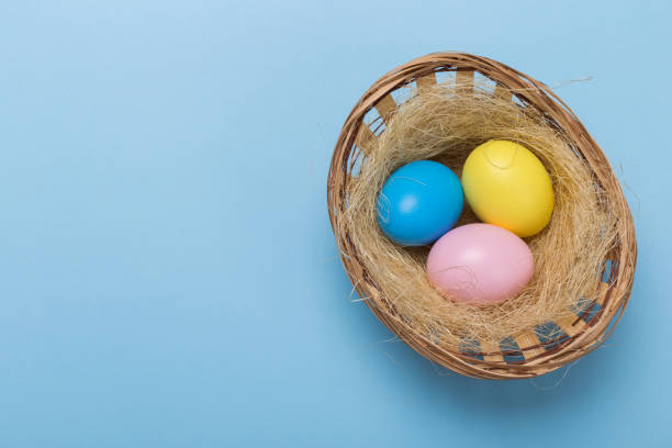 istock Colorfull easter eggs in nest on blue pastel color background with space. 1130627658