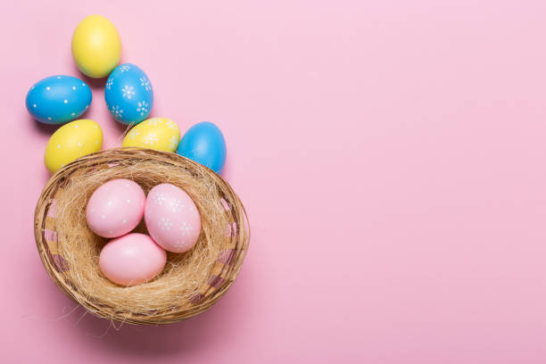 istock Colorfull easter eggs in nest on pastel color background with space. Concept 1130627671