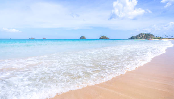 istock Beautiful amazing gold colored sandy beach with soft waves isolated with sunny blue sky. Concept of tropical calm tourism idea, copy space, close up 1130631921
