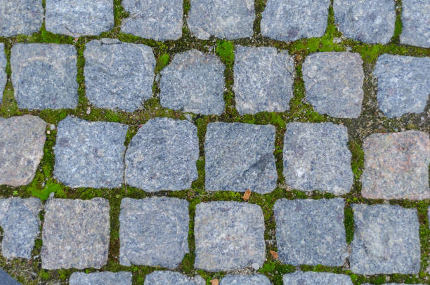 istock green moss between granite stone paving stones 1130633014