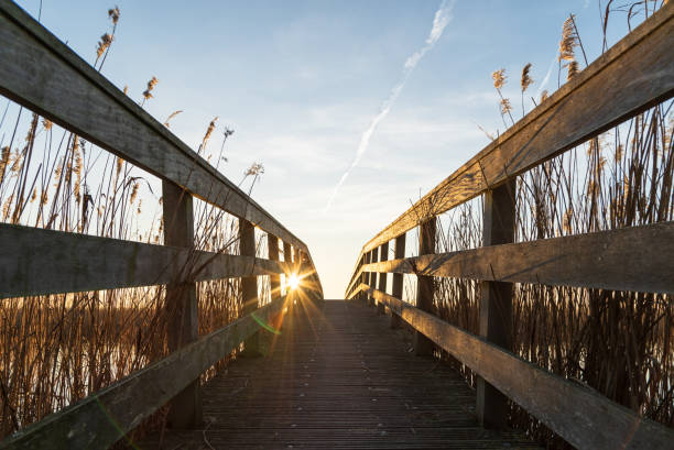 istock Wooden footbridge 1130636705